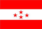 Party Flag - Nepali Congress